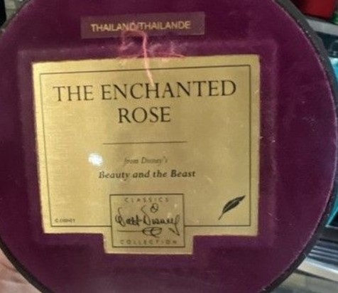 The Enchanted Rose