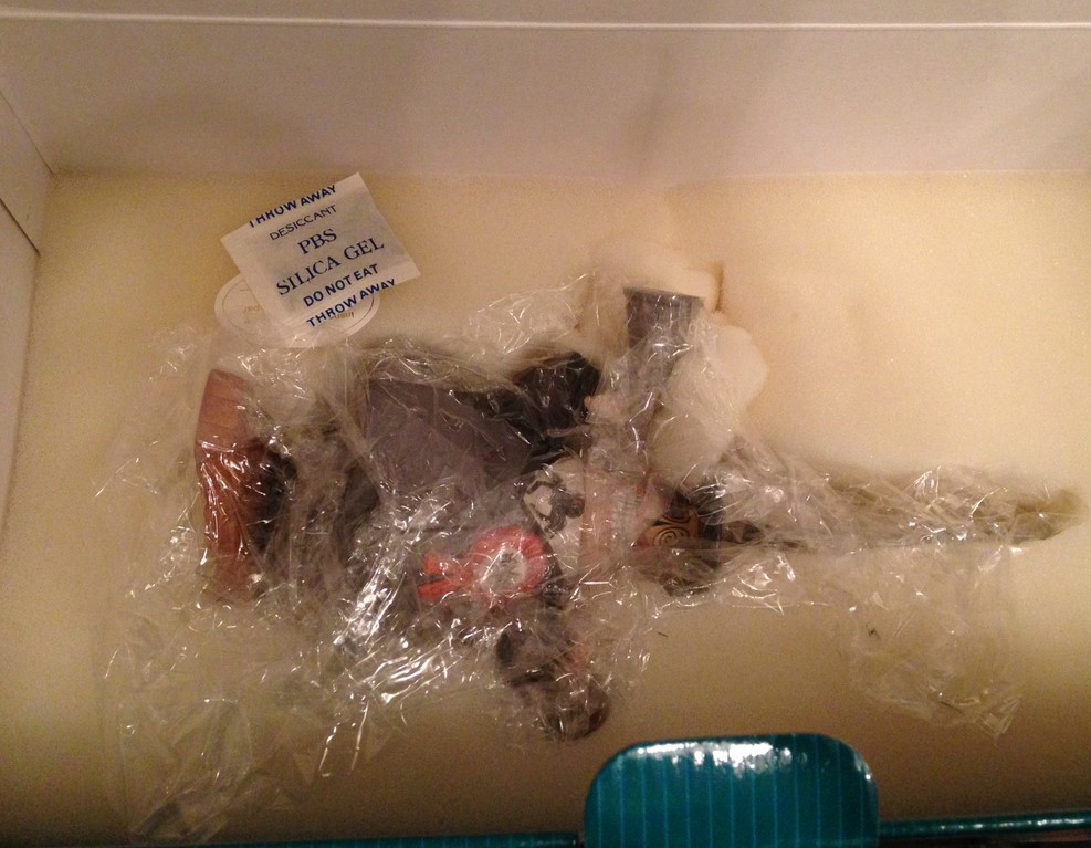 Two-faced Politician