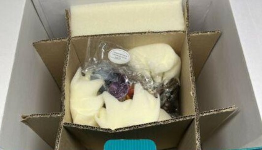 Hurray for Captain Pan!