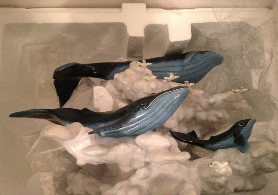 Soaring in the Clouds