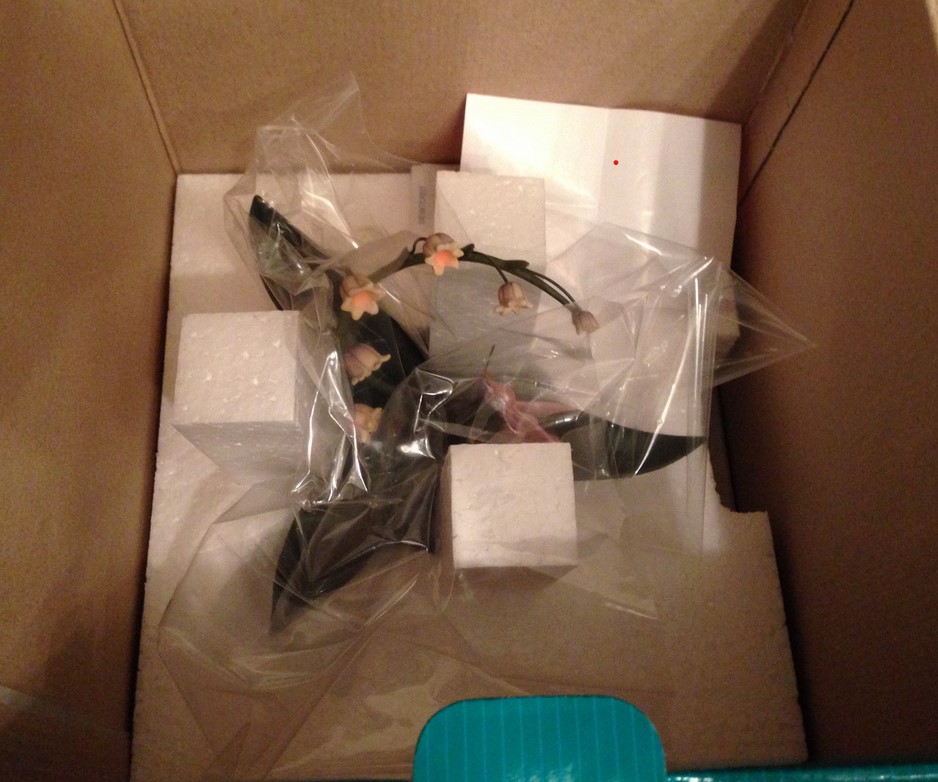 The Gentle Glow of a Luminous Fairy