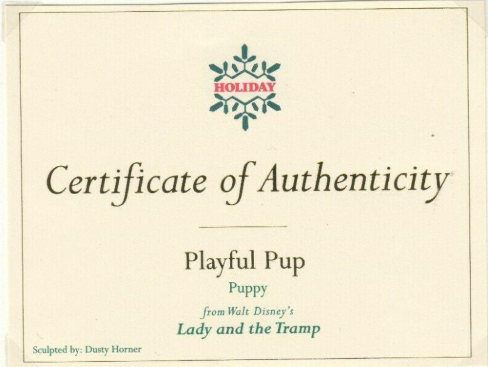 Old Dog, New Tricks - Playful Pup